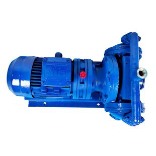 铸铁电动隔膜泵DBY10 15电动化工防爆耐腐蚀不阻塞污泥隔膜泵现货