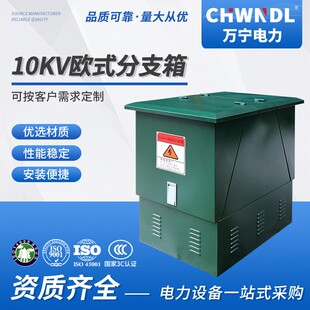 10KV电缆分支箱高压分接箱进出线630A户外一进三出电缆分支箱 欧式