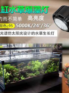 全光谱植物补光灯台灯灯具室内盆栽灯管盆景三角梅兰花生长灯