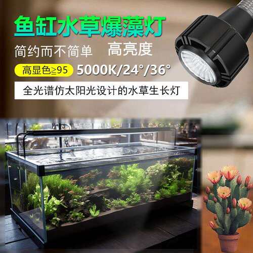 全光谱植物补光灯台灯灯具室内盆栽灯管盆景三角梅兰花生长灯