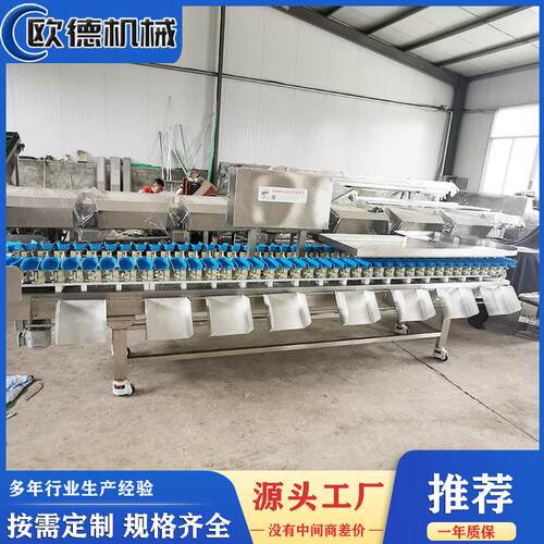 白条分级机鸡爪重量分选机全自动分级机鸡腿鸡翅自动分拣机