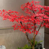 仿真绿植红枫树商场酒店茶室室内外落地简约装 饰造景大型仿真假树