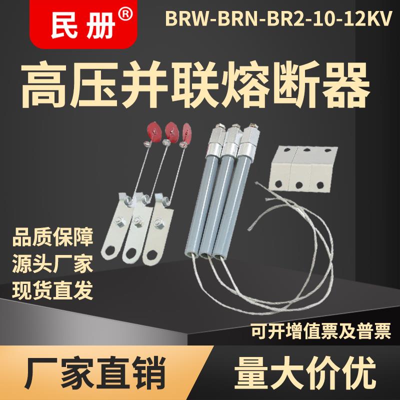 10kv高压保险管并联熔断器电容保护器BR2-BRW-BRN-10A60A100A150A