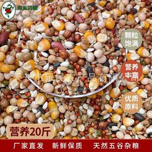 枭龙鸽粮 营养10公斤新升级赛鸽信鸽营养鸟食 江浙沪皖包邮