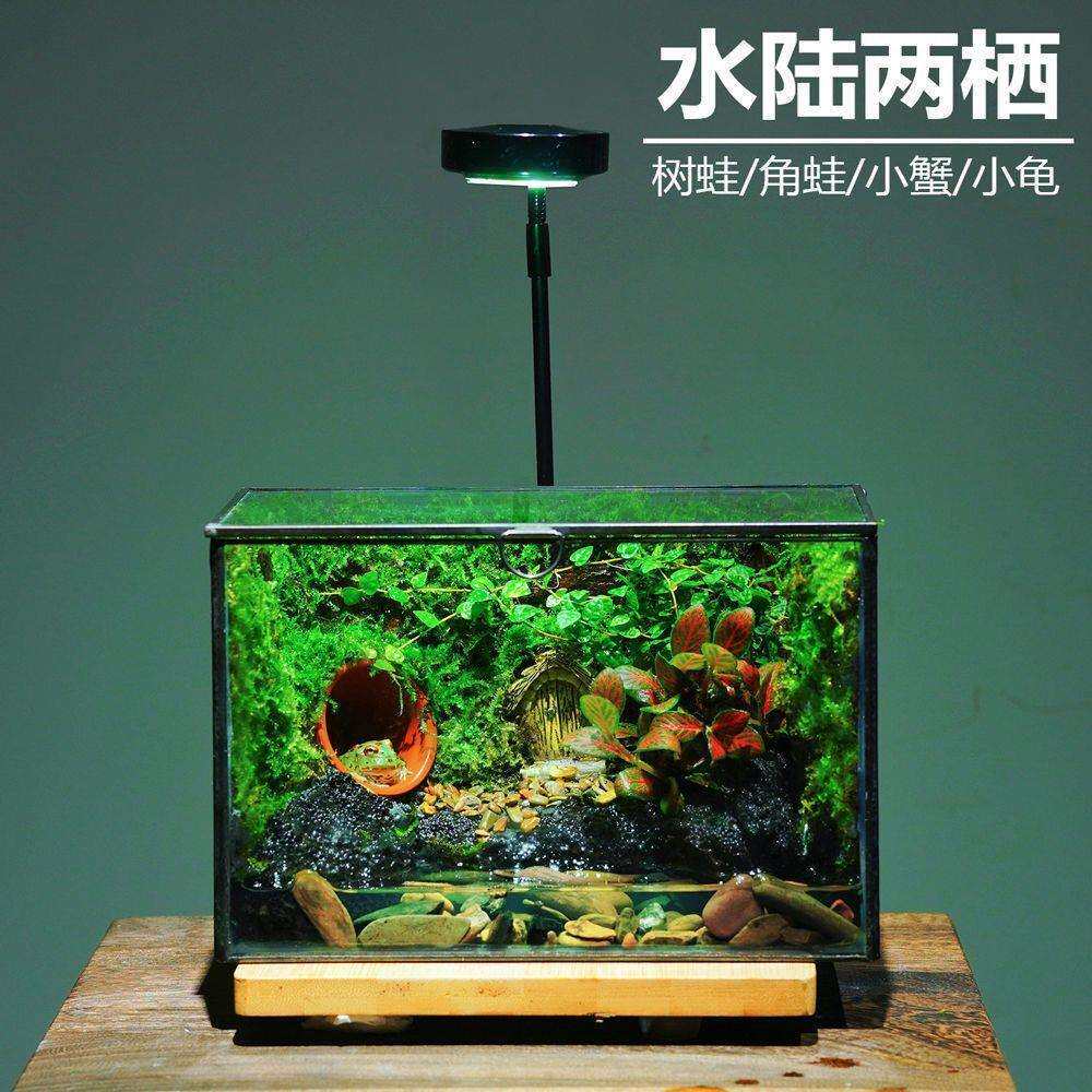 微景观瓶苔藓微景观养蟹蛙爬宠生态瓶闷养室内桌面绿植套成品