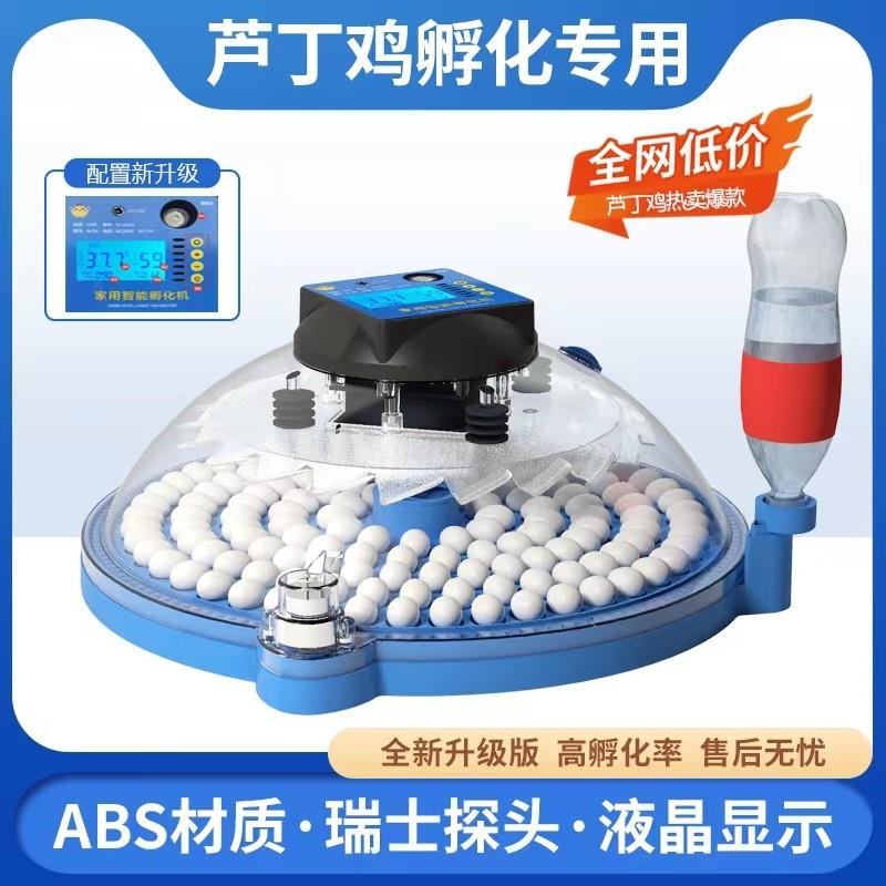 孵化机小型家用型智能芦丁鸡鸭鹅小鸡鹦鹉鸟蛋孵蛋器迷你孵化箱