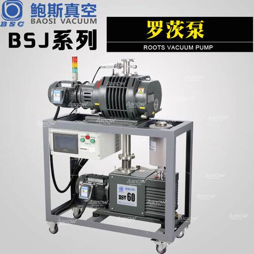 鲍斯罗茨增压真空泵BSJ70L互换爱发科罗茨泵PMB300D用于检漏设备