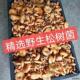 野生松树菌寒菌乌枞菌松乳菇三九菇谷熟菌乌松菌重阳菌干货价