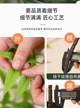 假绿植内盆栽装大型落地摆件客厅轻奢防真F5M8MMS8室绿色植物南天