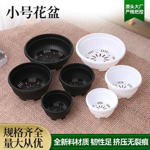黑色花盆聚宝盆多肉植物花盆塑料矮口盆圆形草莓浅口盆蓝莓大花盆