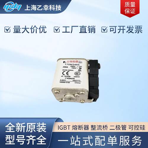 巴斯曼熔断器 170M3661 170M3662 170M3663 170M3664 170M3665