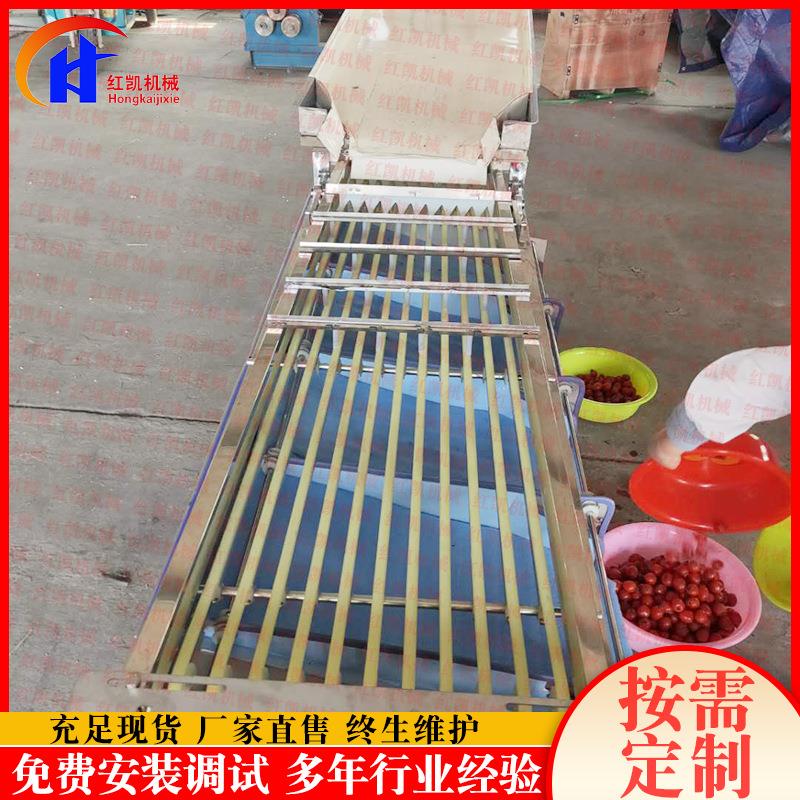 供应全自动百香果分选机轨道式樱桃选果机核桃开心果分选机设备