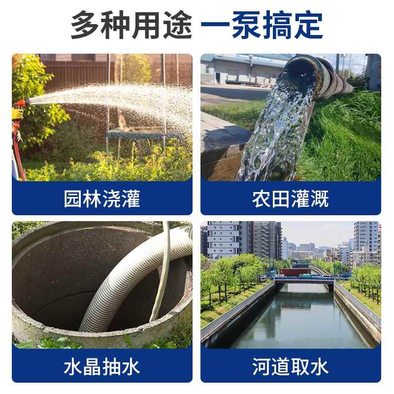 金玛顿无刷直流潜水泵48v60v72v电动车电瓶车专用抽水泵农用灌溉