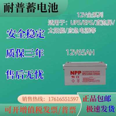 NPP耐普蓄电池12V65AH免维护直流屏太阳能发电机房UPS电源