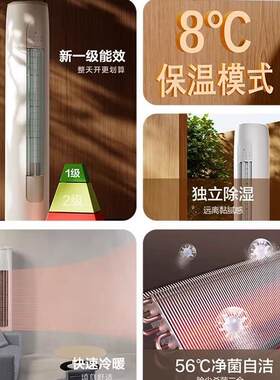格.力空调天仪匹2匹新一级能效变频冷暖净菌自洁立柜式空调柜机
