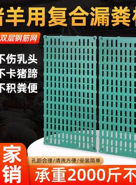 大猪用漏粪板养猪养羊狗舍底板母猪产床保育床定位栏加重加厚粪板