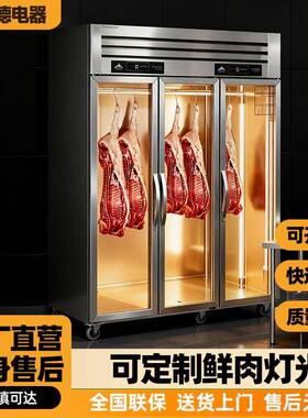 挂肉柜商用立式牛羊肉冷藏展示柜熟成柜单双门鲜肉排酸冰柜保鲜柜