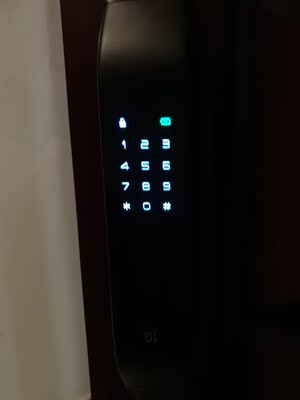 内行人推荐德施曼Q3指纹锁怎么样真有这么好吗