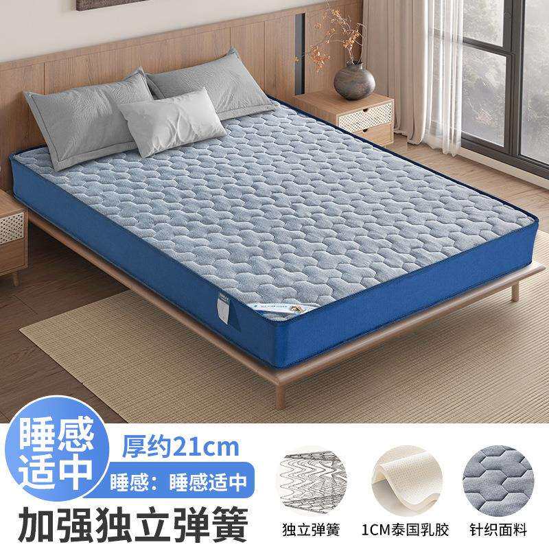 家用卧室记忆棉海绵床垫护脊褥垫子护腰软垫乳胶榻榻米单双人床垫