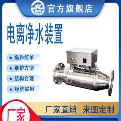 电离净水装置 净水设备 铜银离子消毒器 游泳池杀菌消毒设备