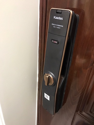 凯迪仕和德施曼哪个好细节区别有哪些?