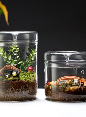 DIY微景观植物苔藓瓶高硼硅玻璃露集杯桌面生态瓶带孔带罩免打理