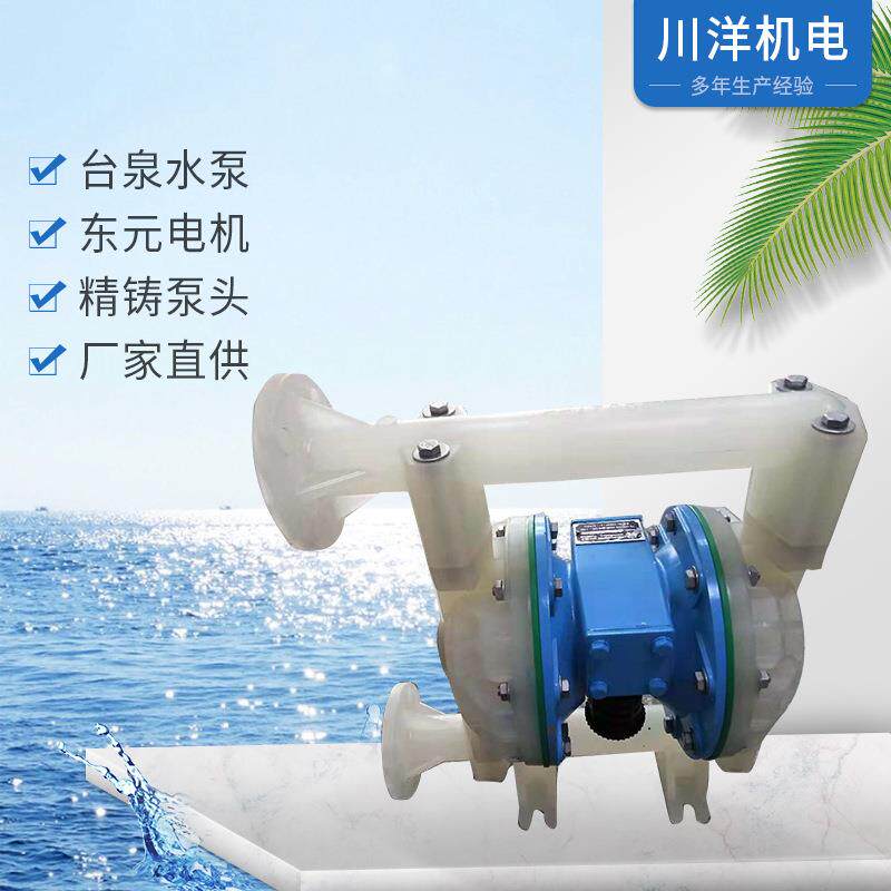 牌隔膜泵全氟四氟气动隔膜泵东莞川洋机电工厂供应