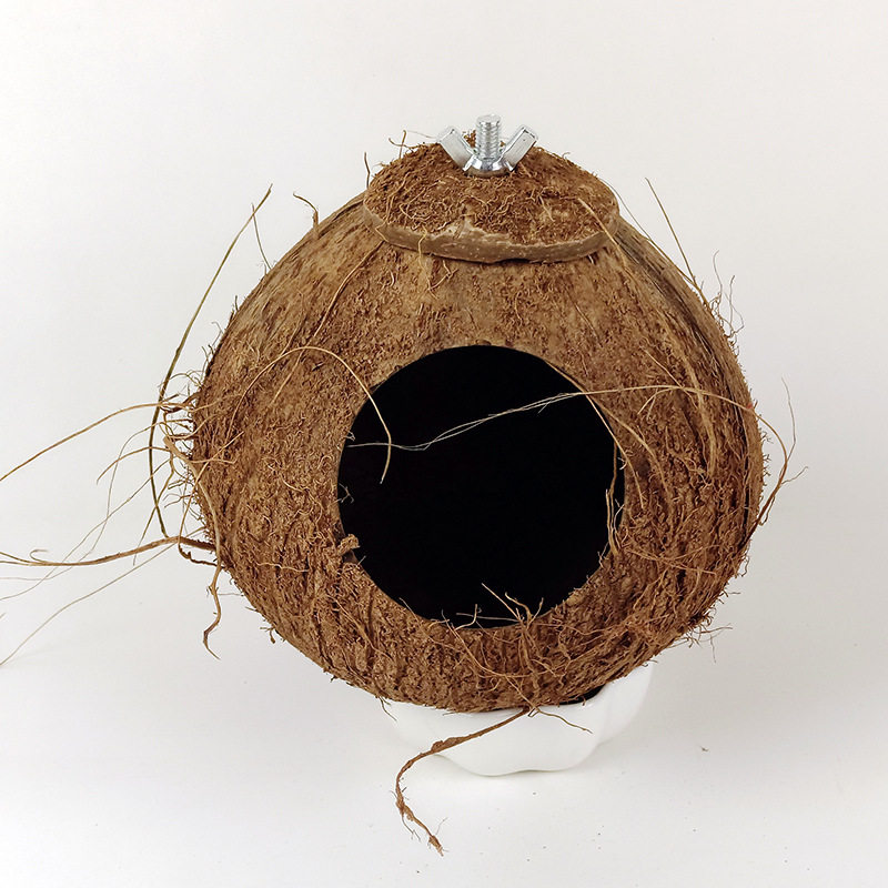 椰壳窝大中小繁殖草窝虎皮牡丹文鸟珍珠绣眼椰子壳鸟窝保暖鸟巢,宠物/宠物食品及用品,狗全价风干/烘焙粮,淘宝优惠券,粉丝福利购,淘宝优惠卷