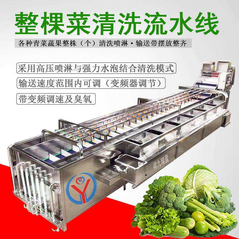 商用毛菜生产线沙拉菜清洗线无损蔬菜生产线生菜菠菜清洗线厂家