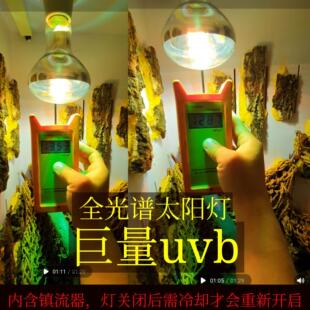 爬虫爬宠箱加温加热灯全光谱太阳灯uvb＋uva照明灯陆龟散养灯