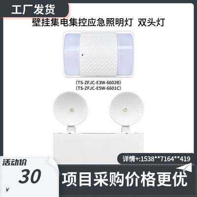 泰和安壁挂集电集控应急照明灯 双头灯6604A/6602B/6601C