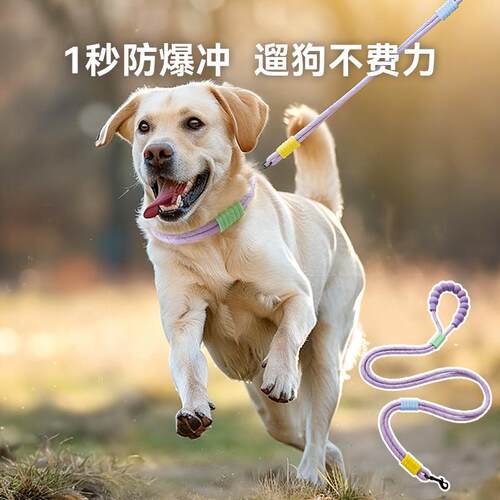 宠物用品中大型云朵泡泡P绳双段加粗防爆冲不勒手绳子狗狗牵引绳