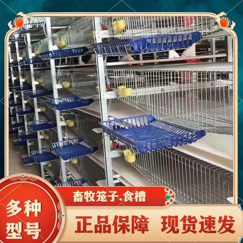 H型鹌鹑养殖笼子 畜牧用农用自动化层叠式阶梯易清粪镀锌养殖笼