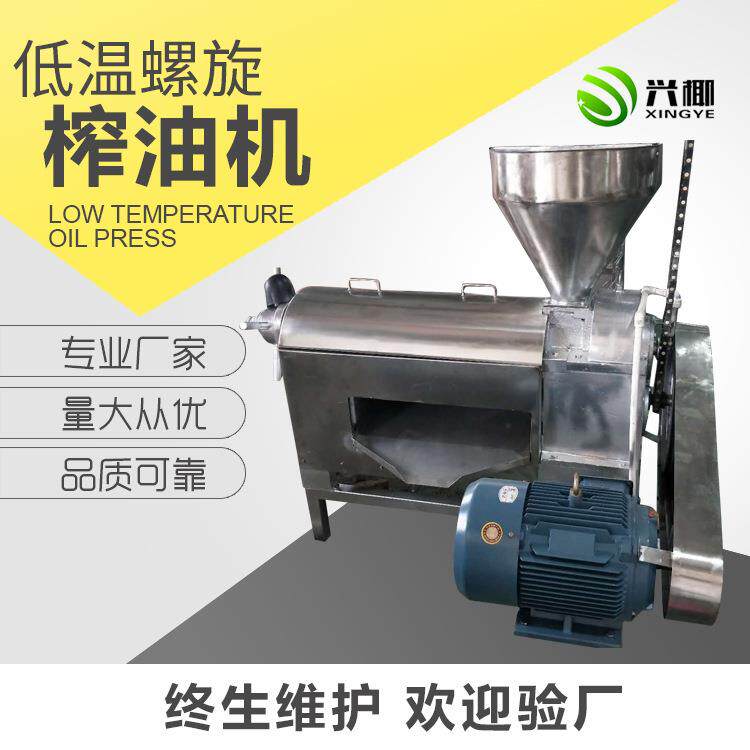 厂家供应低温椰油榨油机不锈钢榨油机全自动低温螺旋榨油机