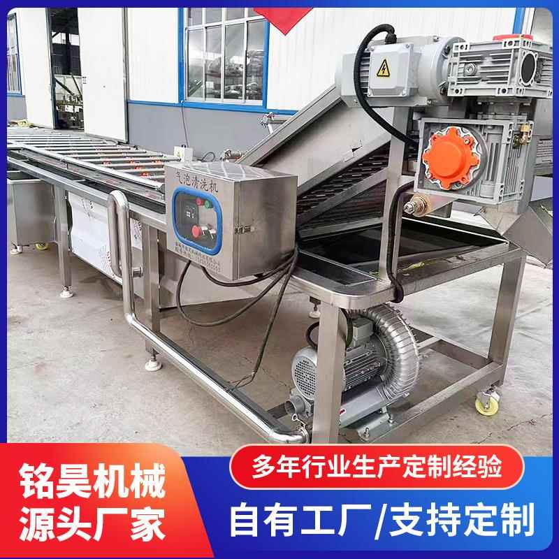 多功能气泡清洗机全自动蔬菜清洗洗菜机水果净菜加工定制商用