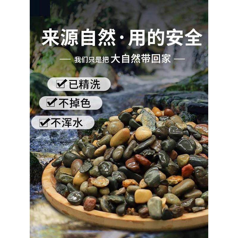 溪流石鱼缸底砂造景专用天然溪流砂鹅卵石龟缸免洗原生底沙,宠物/宠物食品及用品,造景/装饰,淘宝优惠券,粉丝福利购,淘宝优惠卷