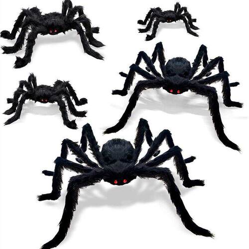 Its Halloween decorating the spiders outdoors with a black