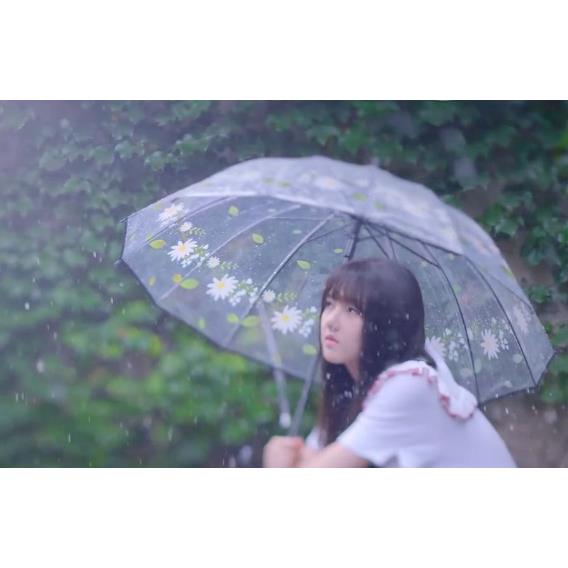 正品少女大心号 长柄系透明伞网红 日本小清新女神森in学s生简约