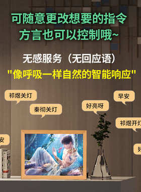智能语音控制5V灯带灯光画开关套件 变色氛围灯带DIV趣味方言对话