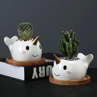 Cute Dolphin Succulent Flowerpot Ceramic Flower Pot Plant