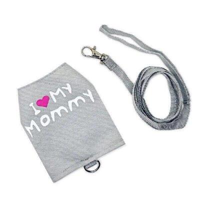 Lizards Harness and Leash Set Glowing at Dark Safe Small