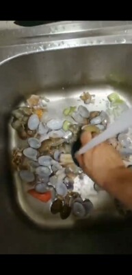 德国惠妈垃圾处理器真实使用反馈，图文分享评测揭秘