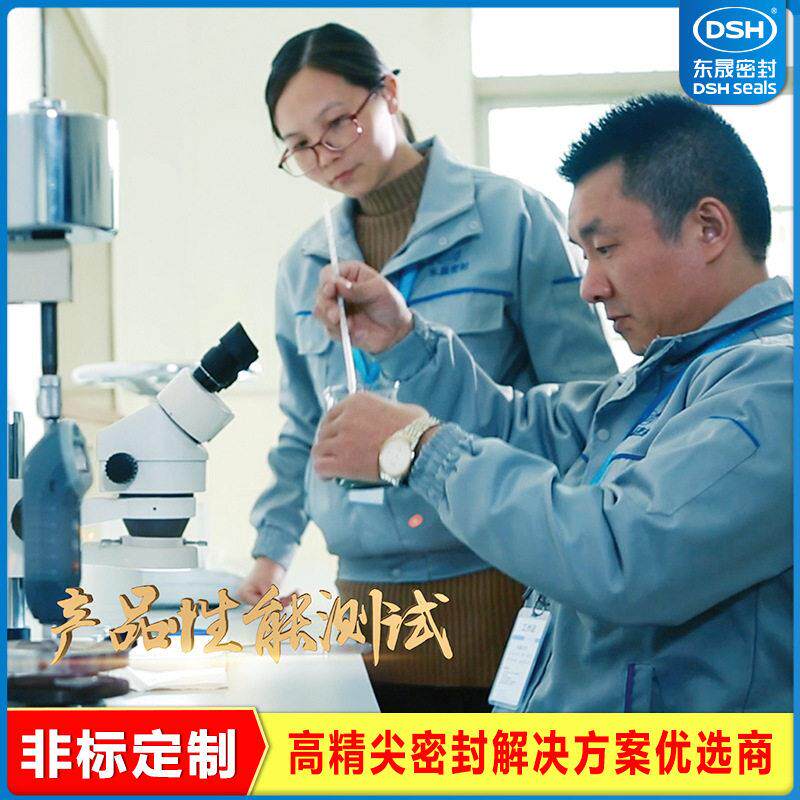 定制TC骨架油封封东晟耐酸氟橡密封件