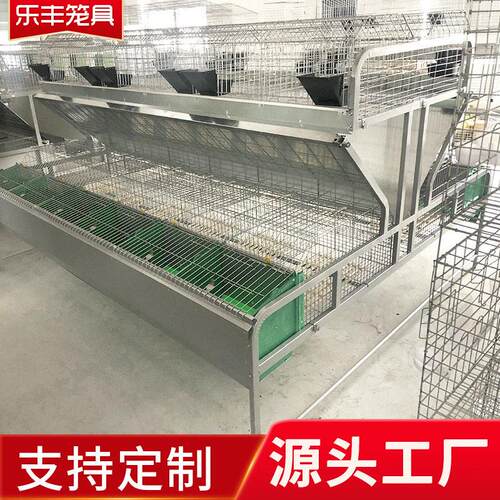 新型热镀锌自动双层兔笼 品字型免清粪兔子笼 繁殖母兔笼