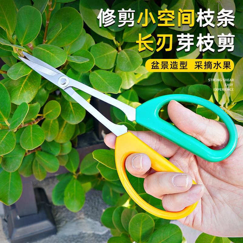 剪花专用剪刀加长稀果剪小枝叶芽剪盆栽修花枝采摘柑橘子花椒葡萄