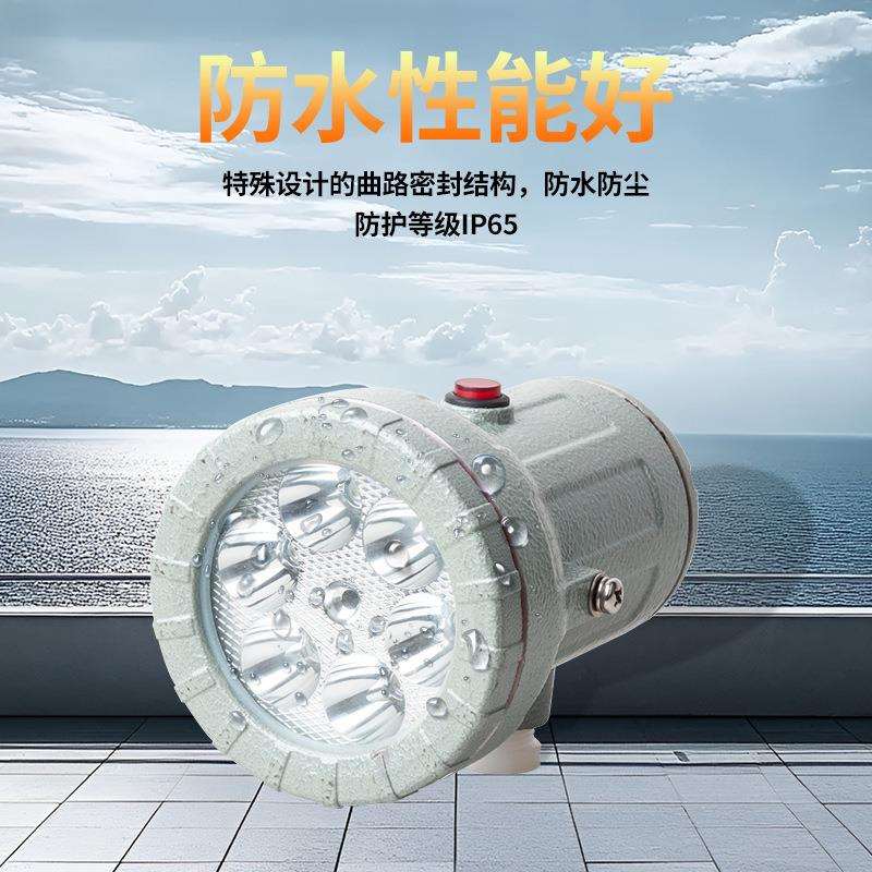 防爆视孔灯LED防爆反应釜灯照明灯BSD视镜灯5W10W延时探照灯24V22