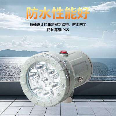 防爆视孔灯LED防爆反应釜灯照明灯BSD视镜灯5W10W延时探照灯24V22