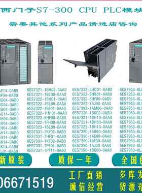 西门子PS307电源模块6ES7307-1BA01-0AA0/1KA02/6ES7 307-1EA01-0