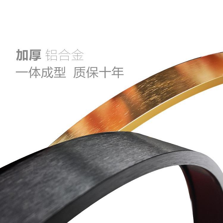 落铝合地穿衣镜全身镜家用挂墙试衣镜XPA壁挂金镜子贴墙大镜子全
