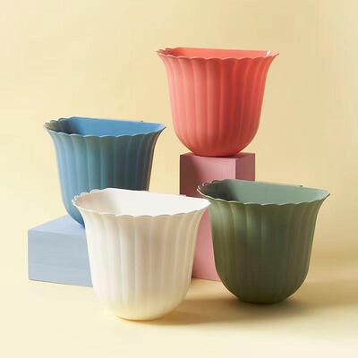 Cactus-shaped storage box for combs and makeup tools, a crea